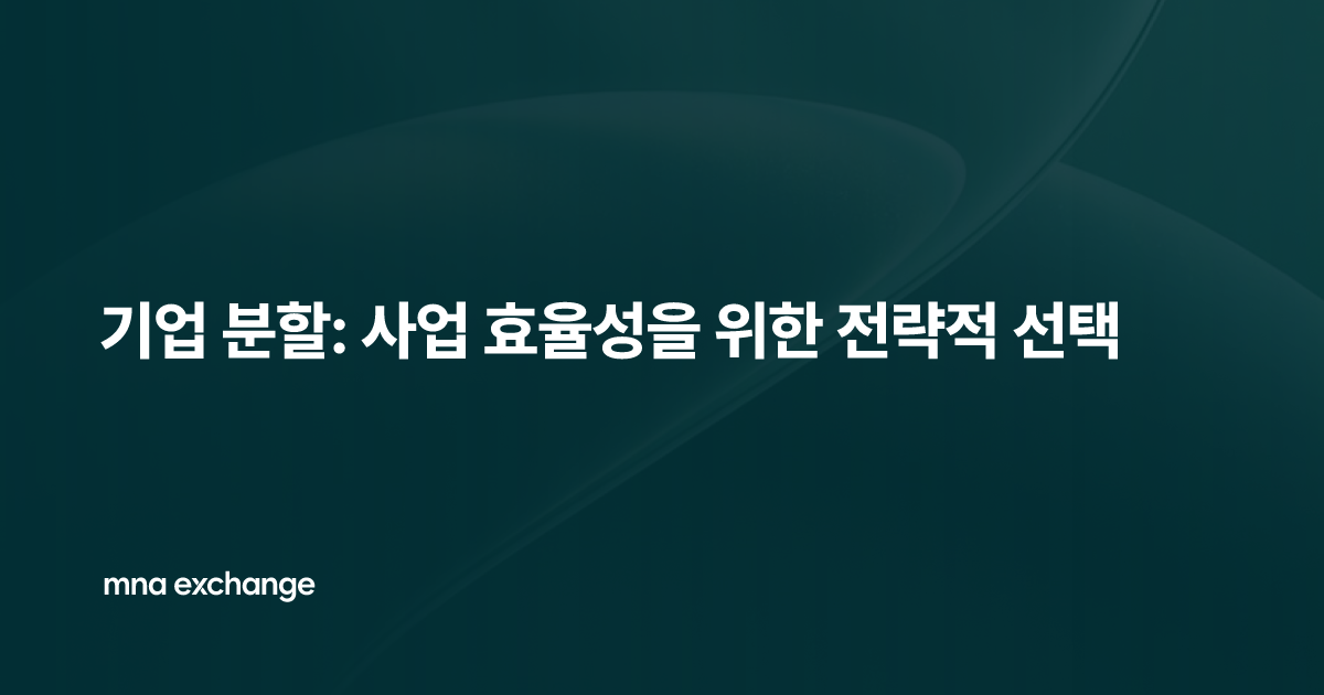기업 분할: 사업 효율성을 위한 전략적 선택