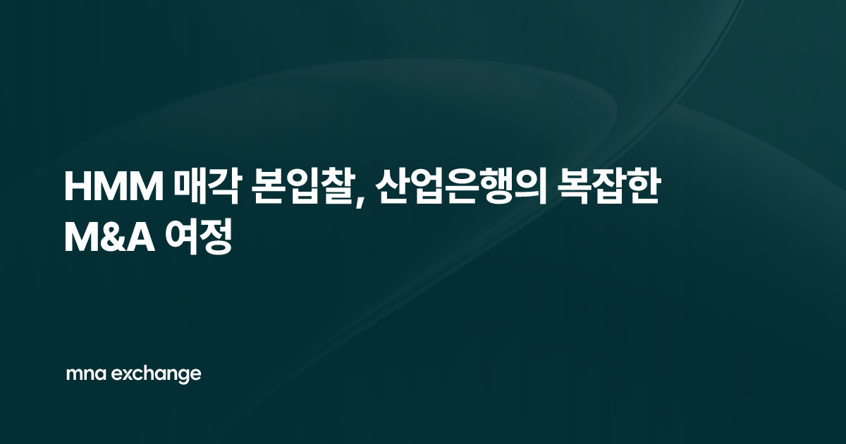 HMM 매각 본입찰, 산업은행의 복잡한 M&A 여정