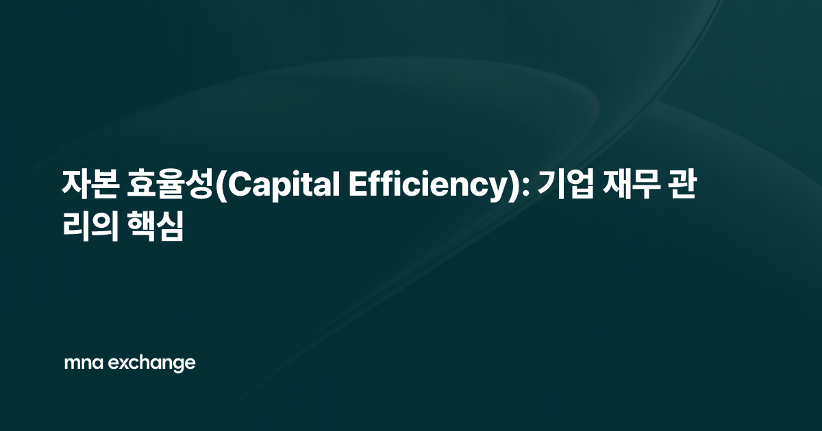 자본 효율성(Capital Efficiency): 기업 재무 관리의 핵심